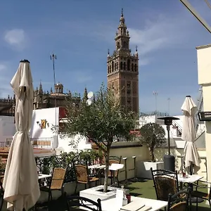 Hotel Palacio Alcazar Seville